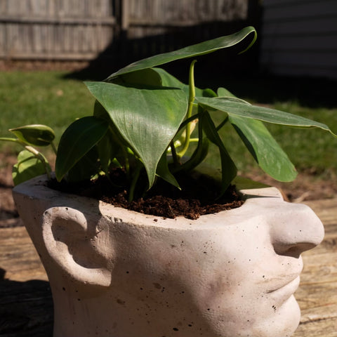 Concrete Head Planter