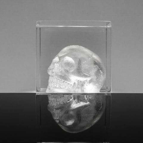 Missing Skull Polyurethane Sculpture